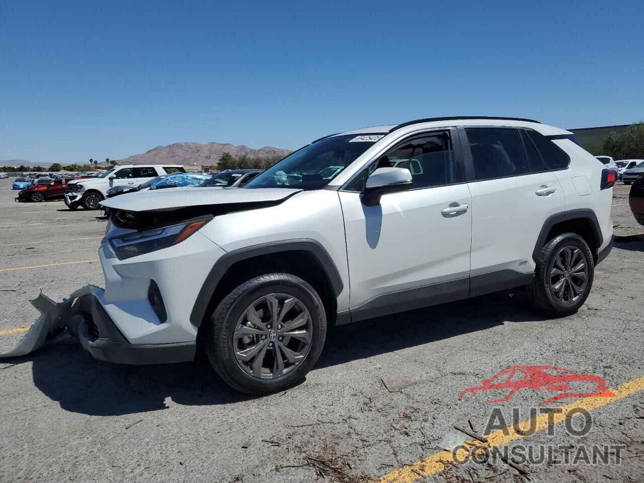 TOYOTA RAV4 2024 - 2T3B6RFV5RW073663