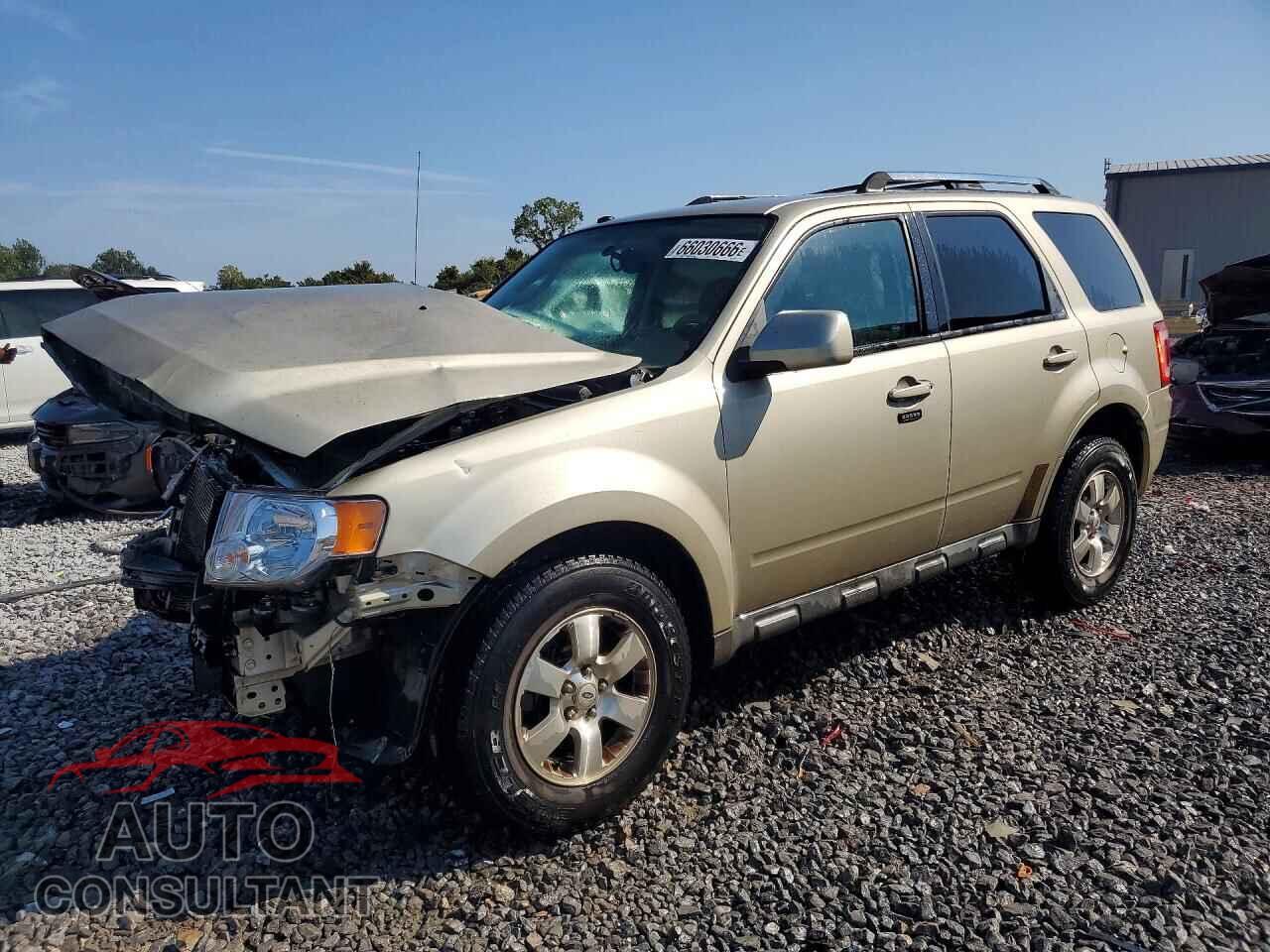 FORD ESCAPE 2011 - 1FMCU0E73BKA91128