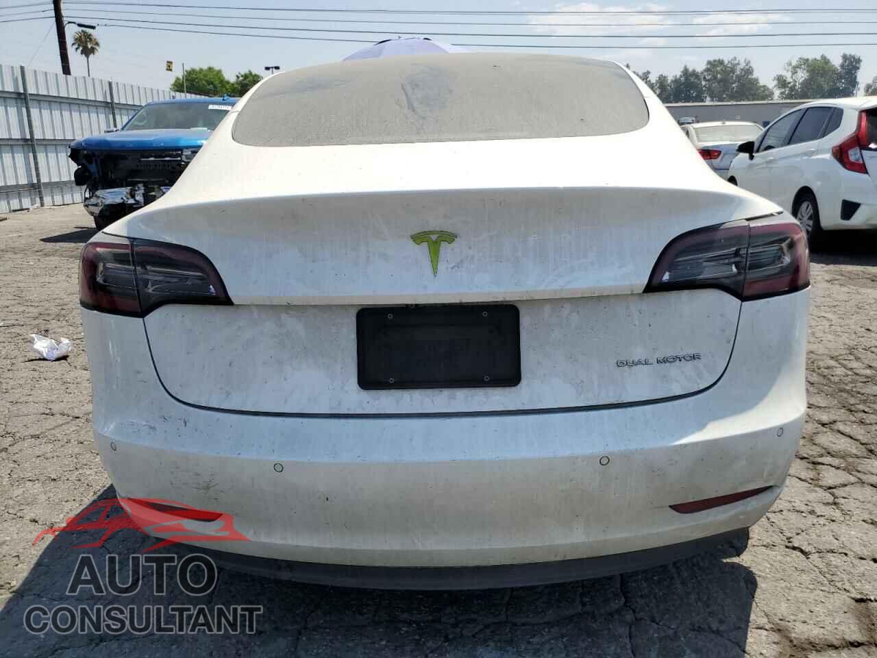 TESLA MODEL 3 2019 - 5YJ3E1EB3KF513536
