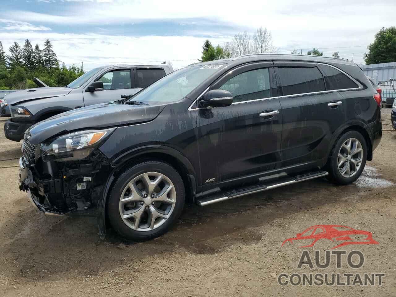 KIA SORENTO 2017 - 5XYPKDA50HG252802