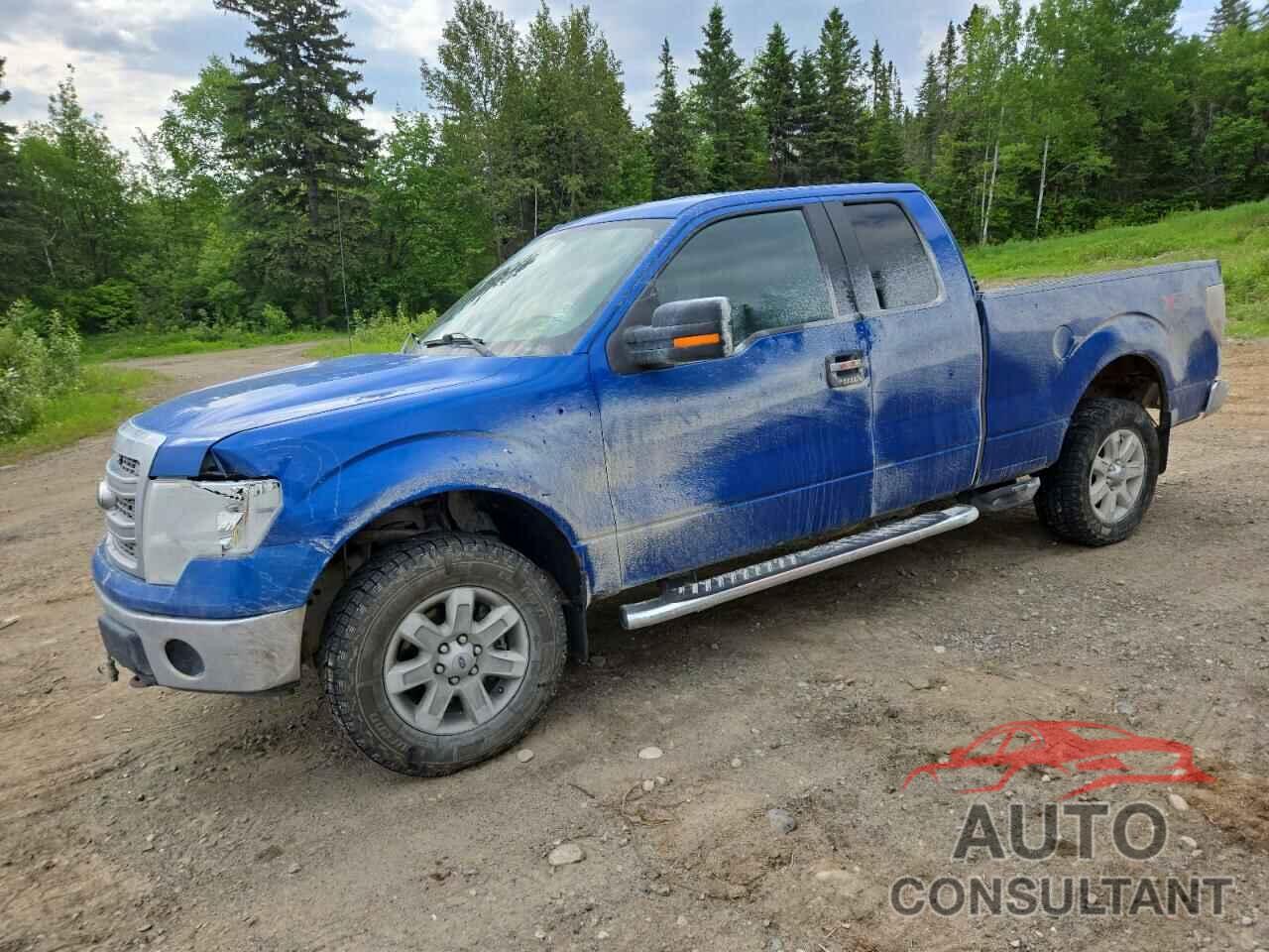 FORD F-150 2014 - 1FTFX1EF5EFA51457