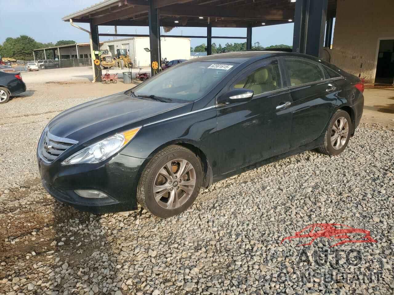 HYUNDAI SONATA 2013 - 5NPEC4AC6DH587603
