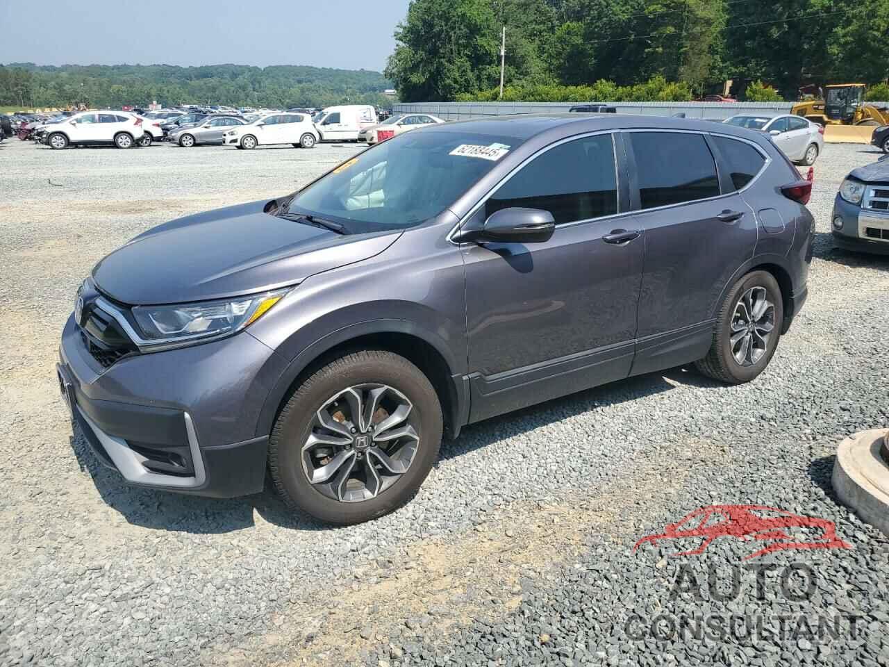 HONDA CRV 2020 - 7FARW1H89LE003107
