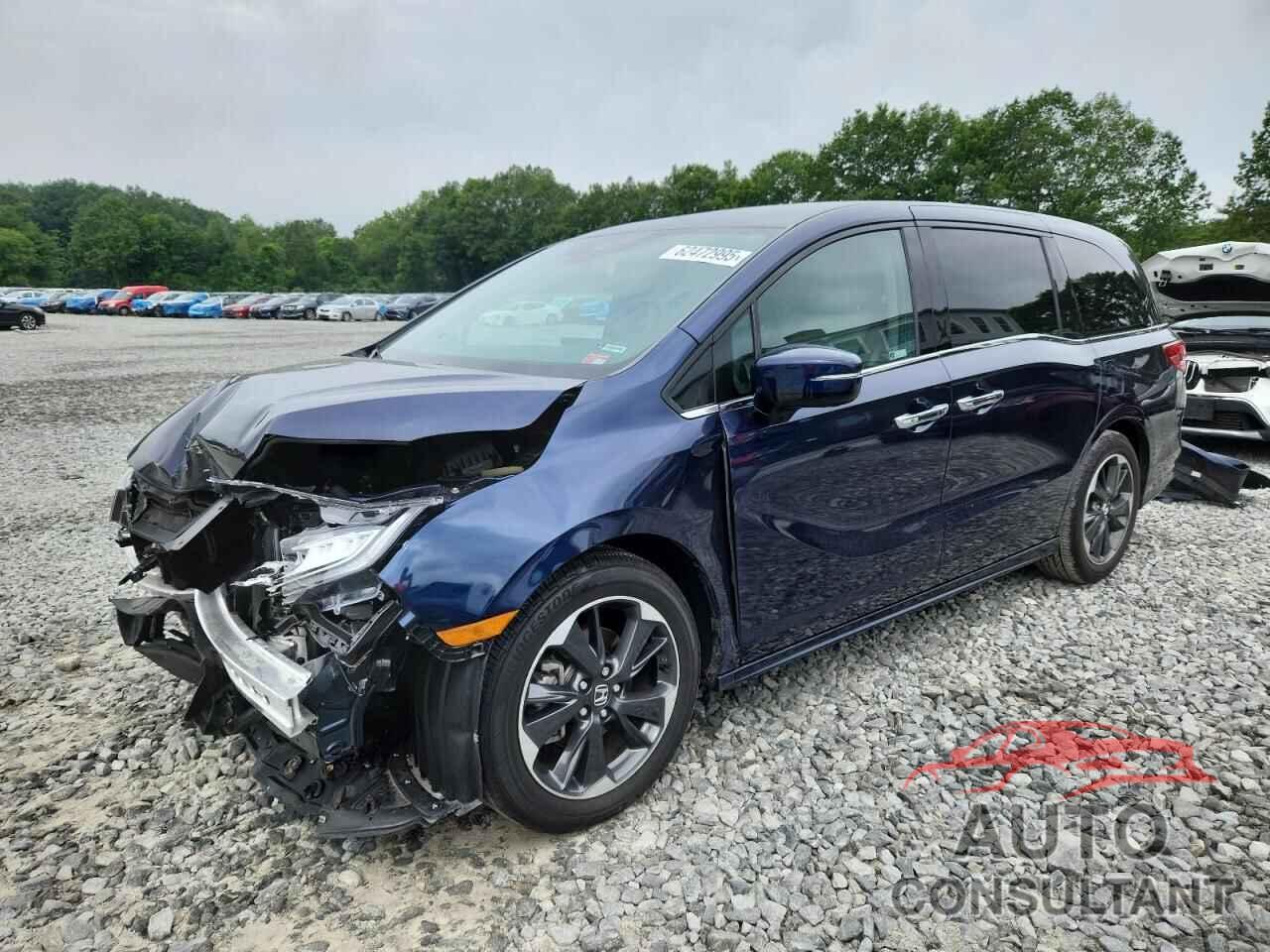 HONDA ODYSSEY 2024 - 5FNRL6H91RB015996