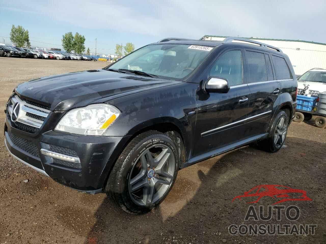 MERCEDES-BENZ GL-CLASS 2010 - 4JGBF2FE4AA581841