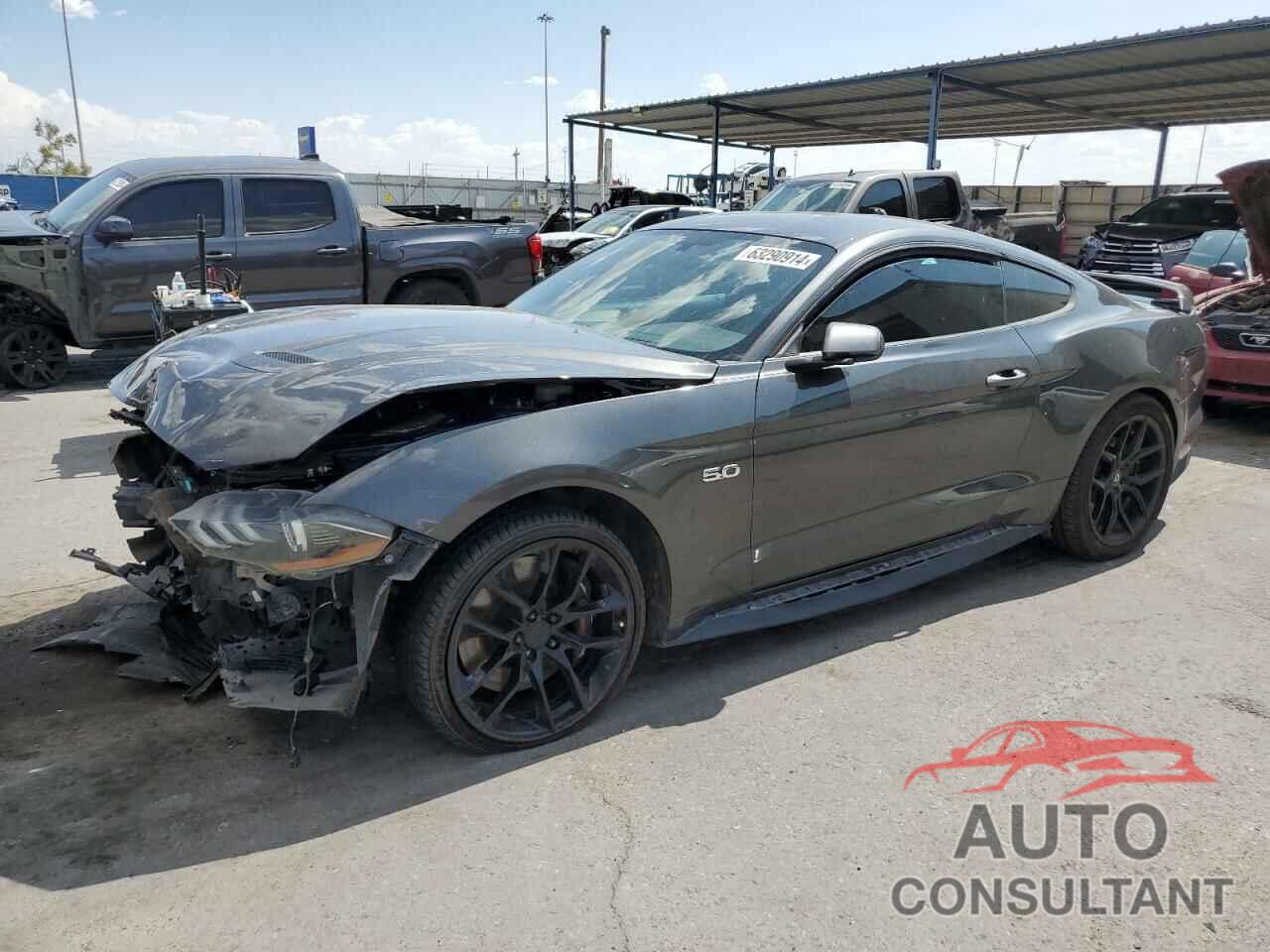 FORD MUSTANG 2019 - 1FA6P8CF2K5175396