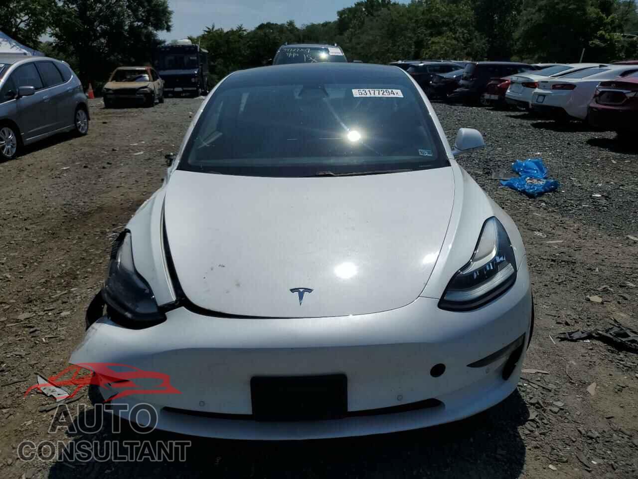 TESLA MODEL 3 2019 - 5YJ3E1EA4KF483891