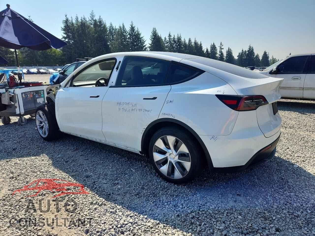 TESLA MODEL Y 2024 - 7SAYGDEE3RF075495