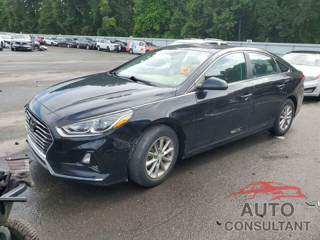 HYUNDAI SONATA 2019 - 5NPE24AF3KH758480