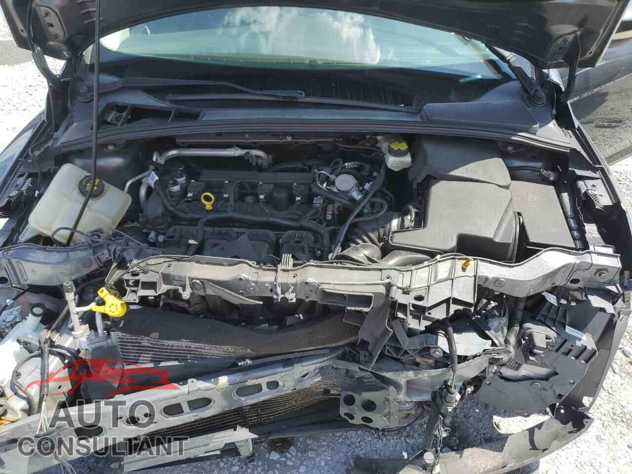 FORD FOCUS 2017 - 1FADP3F29HL242096