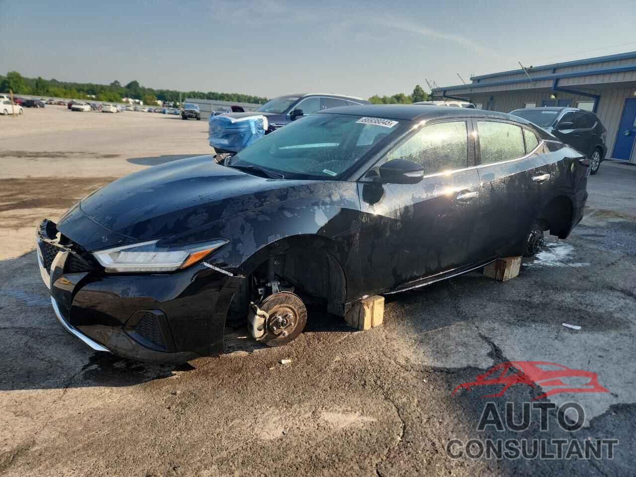 NISSAN MAXIMA 2019 - 1N4AA6AV1KC373392