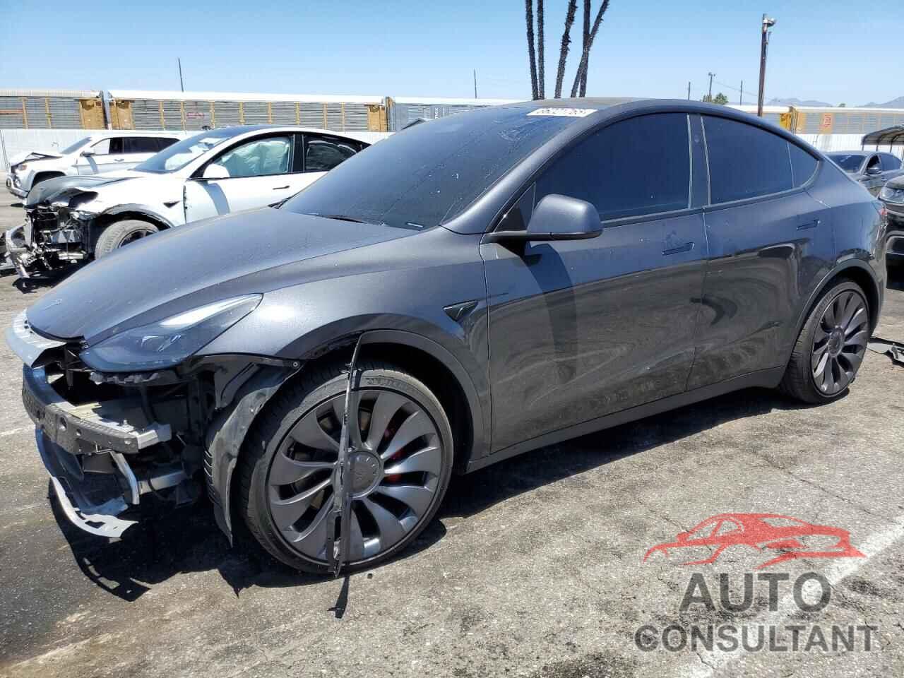 TESLA MODEL Y 2024 - 7SAYGDEF3RF049942