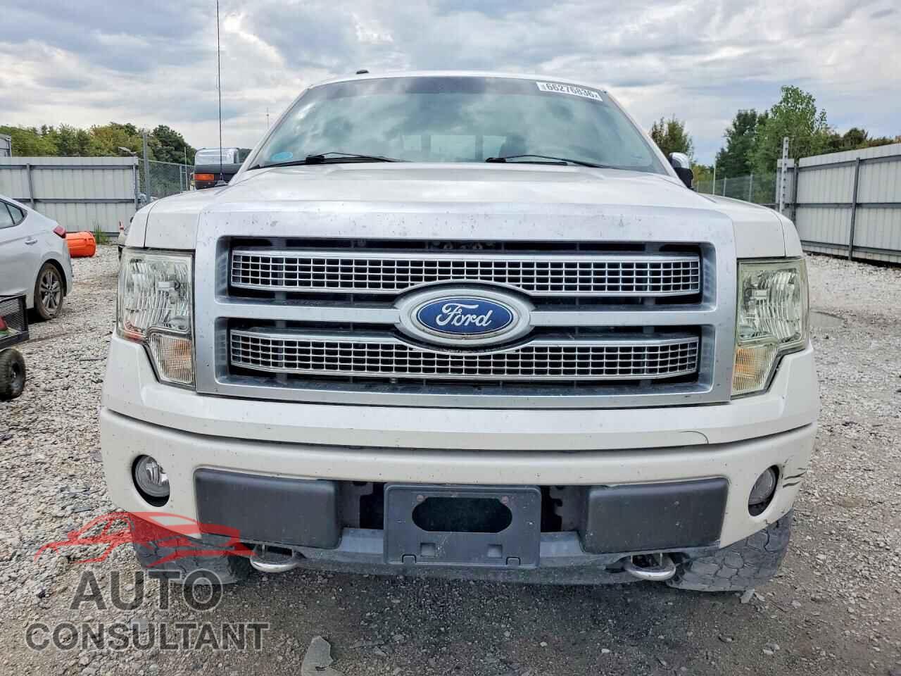 FORD F150 2010 - 1FTFW1EV2AFD43295