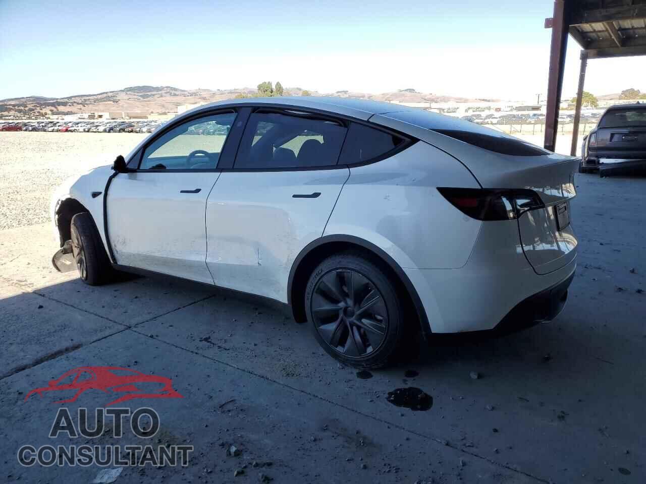 TESLA MODEL Y 2024 - 7SAYGDED1RF165686