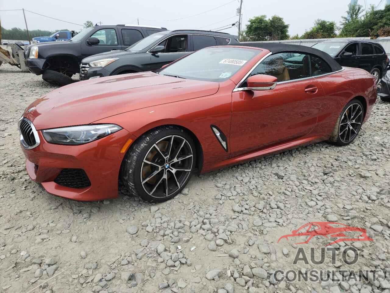 BMW M8 2022 - WBAFY4C04NCK17799