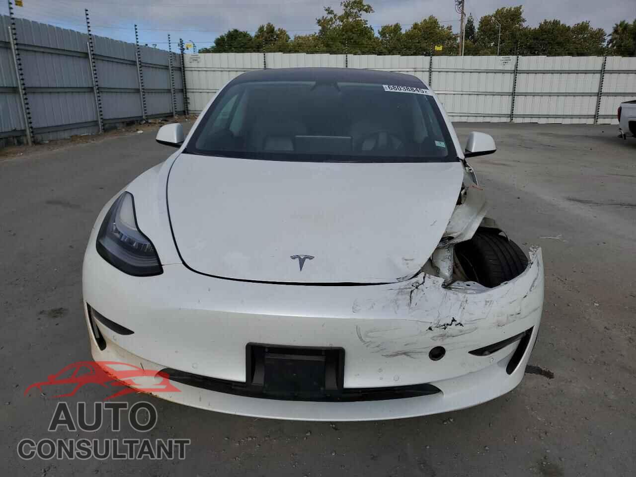TESLA MODEL 3 2019 - 5YJ3E1EA3KF401553