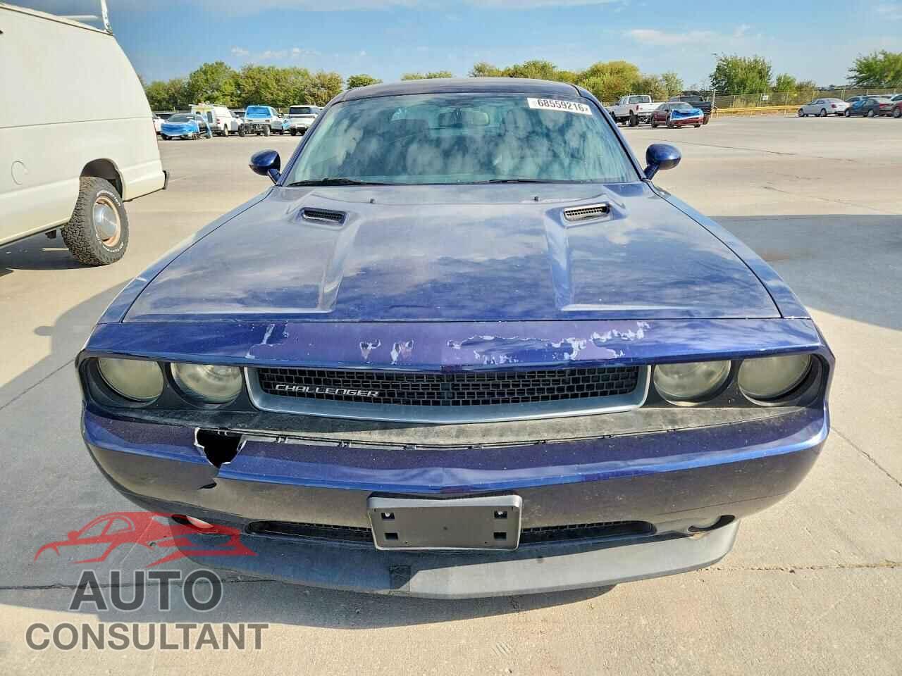DODGE CHALLENGER 2013 - 2C3CDYAG3DH566185