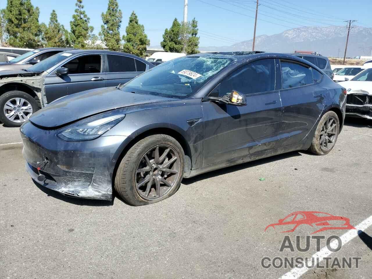 TESLA MODEL 3 2018 - 5YJ3E1EA9JF005044