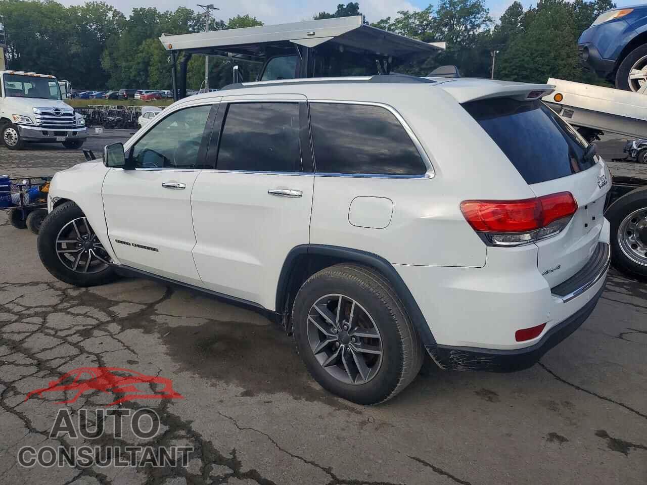 JEEP CHEROKEE 2019 - 1C4RJFBG8KC846332