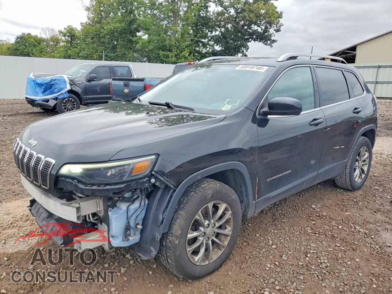 JEEP CHEROKEE 2019 - 1C4PJMLB8KD194837