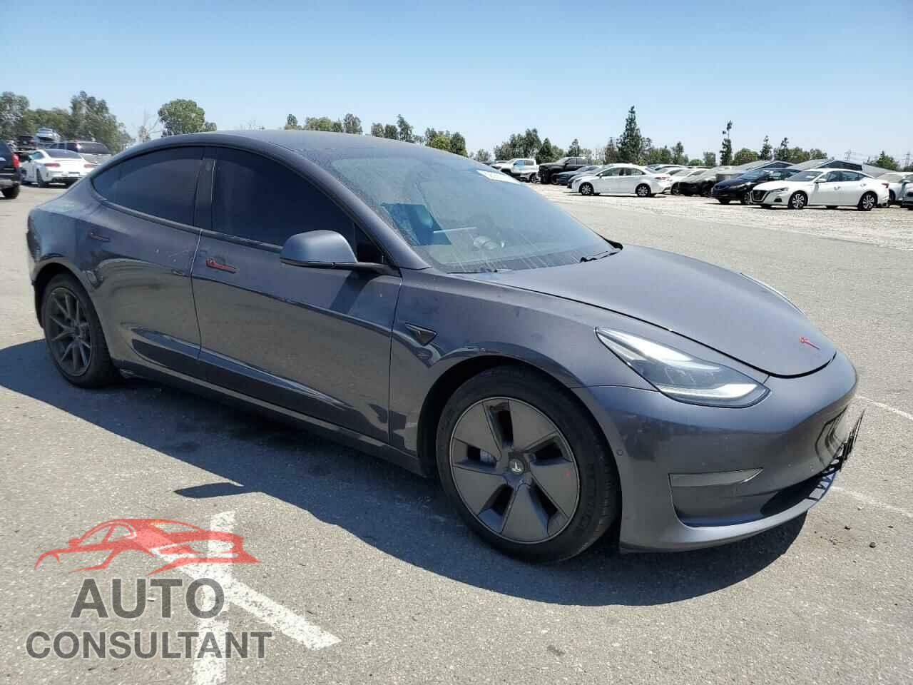 TESLA MODEL 3 2021 - 5YJ3E1EA7MF006293