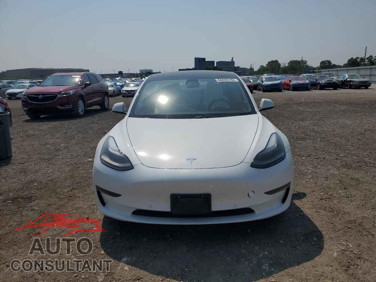 TESLA MODEL 3 2021 - 5YJ3E1EBXMF019922
