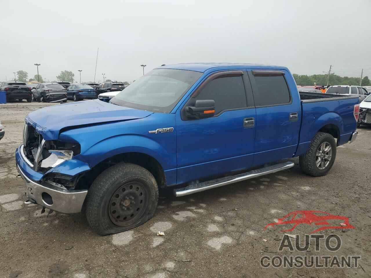 FORD F-150 2013 - 1FTFW1ET5DFD50406