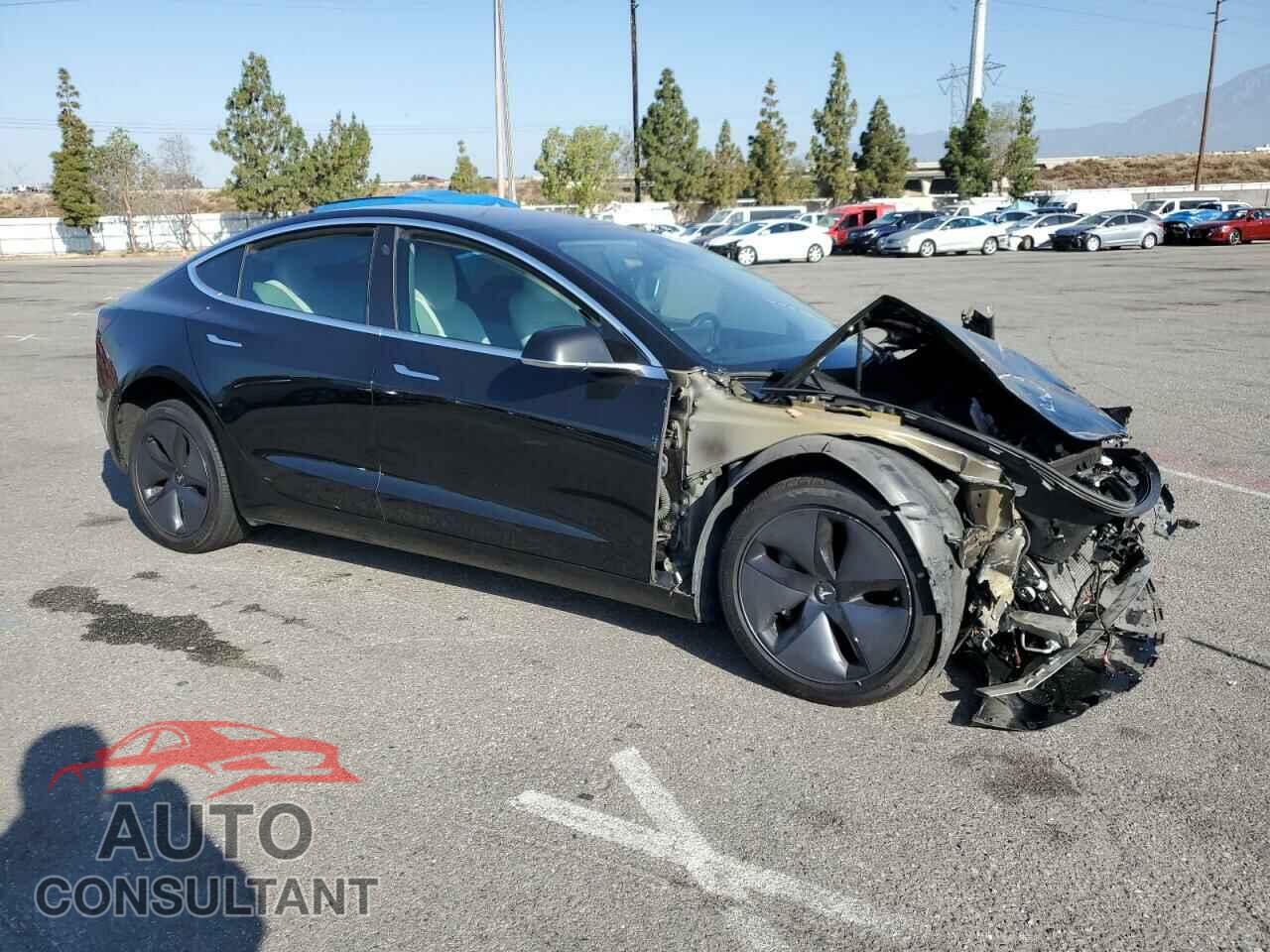 TESLA MODEL 3 2019 - 5YJ3E1EA8KF302095