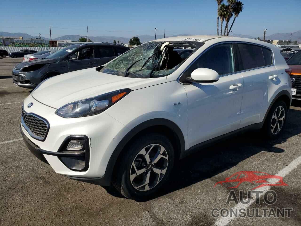 KIA SPORTAGE 2021 - KNDPMCAC1M7931021