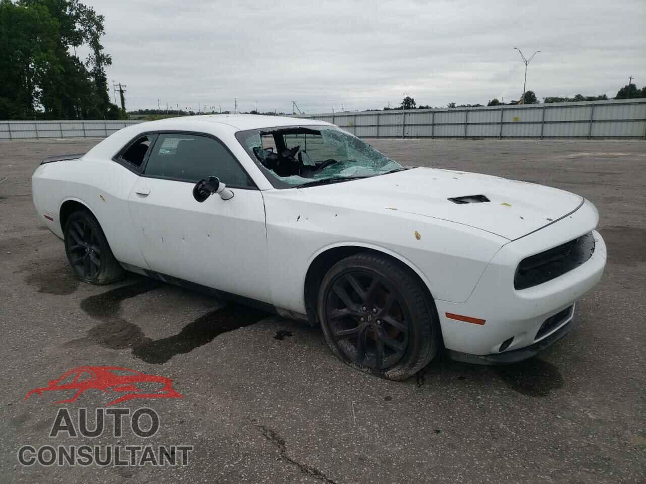 DODGE CHALLENGER 2019 - 2C3CDZAG8KH513551