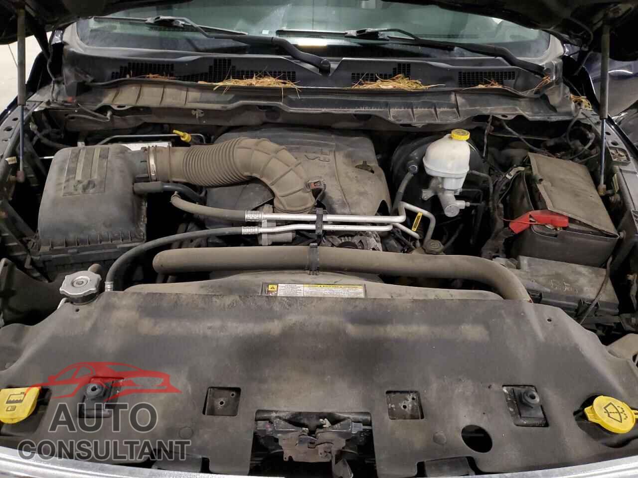 DODGE All Models 2012 - 1C6RD7NT2CS247947