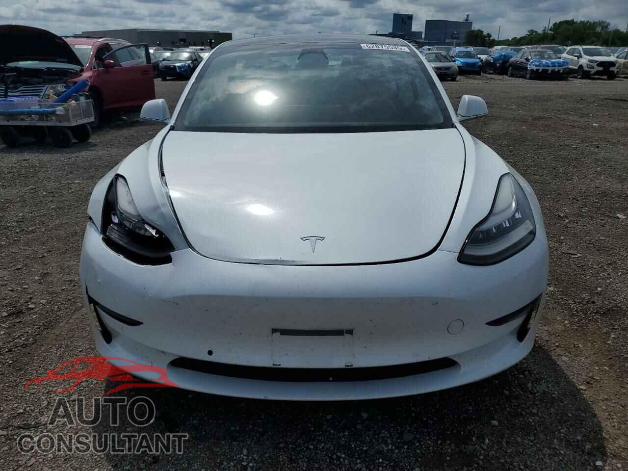 TESLA MODEL 3 2019 - 5YJ3E1EA1KF484075