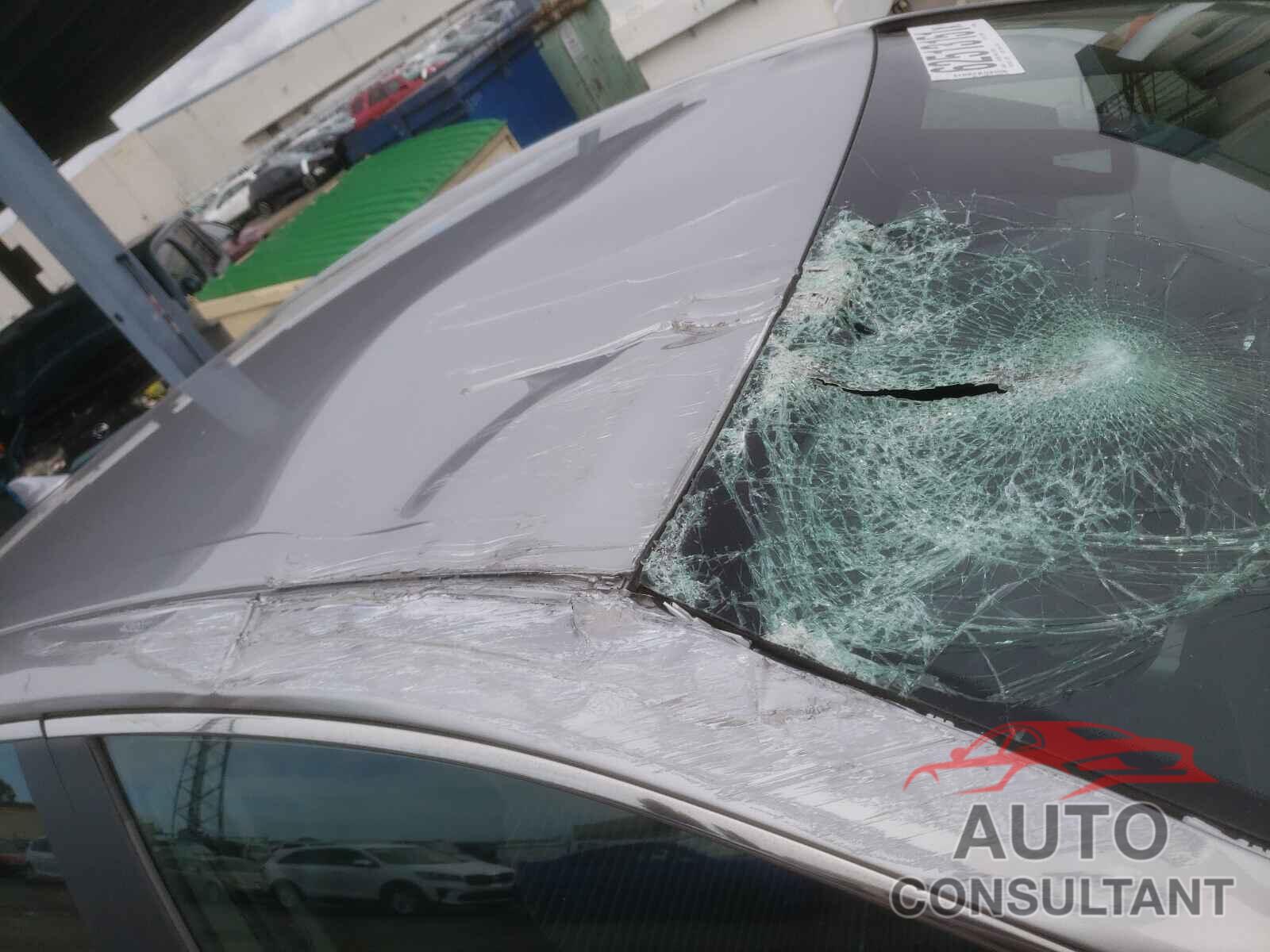 TOYOTA CAMRY 2019 - 4T1B11HK5KU214006