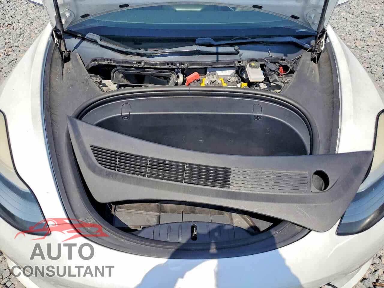 TESLA MODEL 3 2019 - 5YJ3E1EA1KF464599