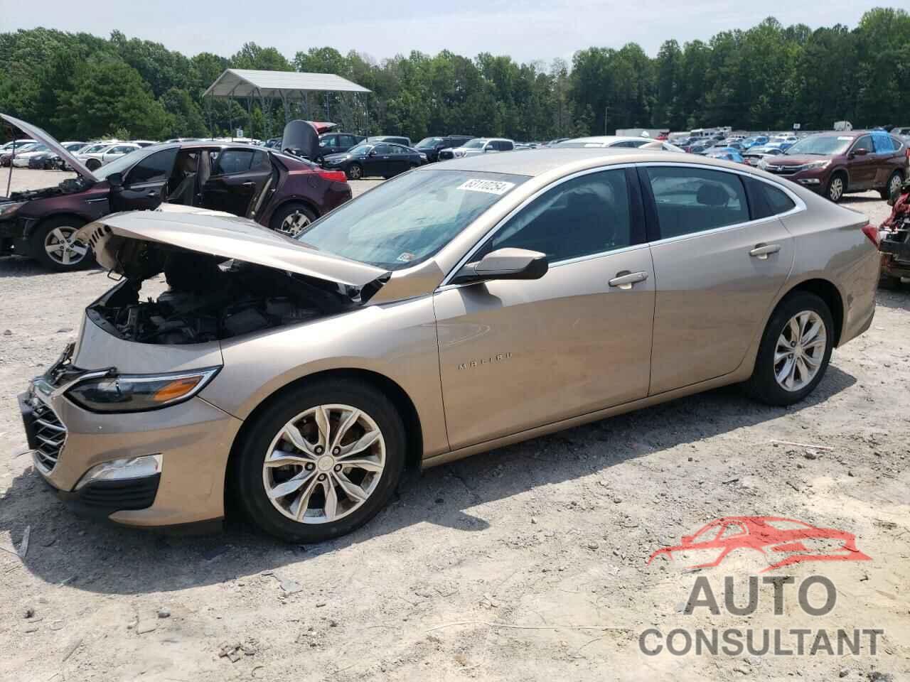 CHEVROLET MALIBU 2019 - 1G1ZD5ST8KF102364