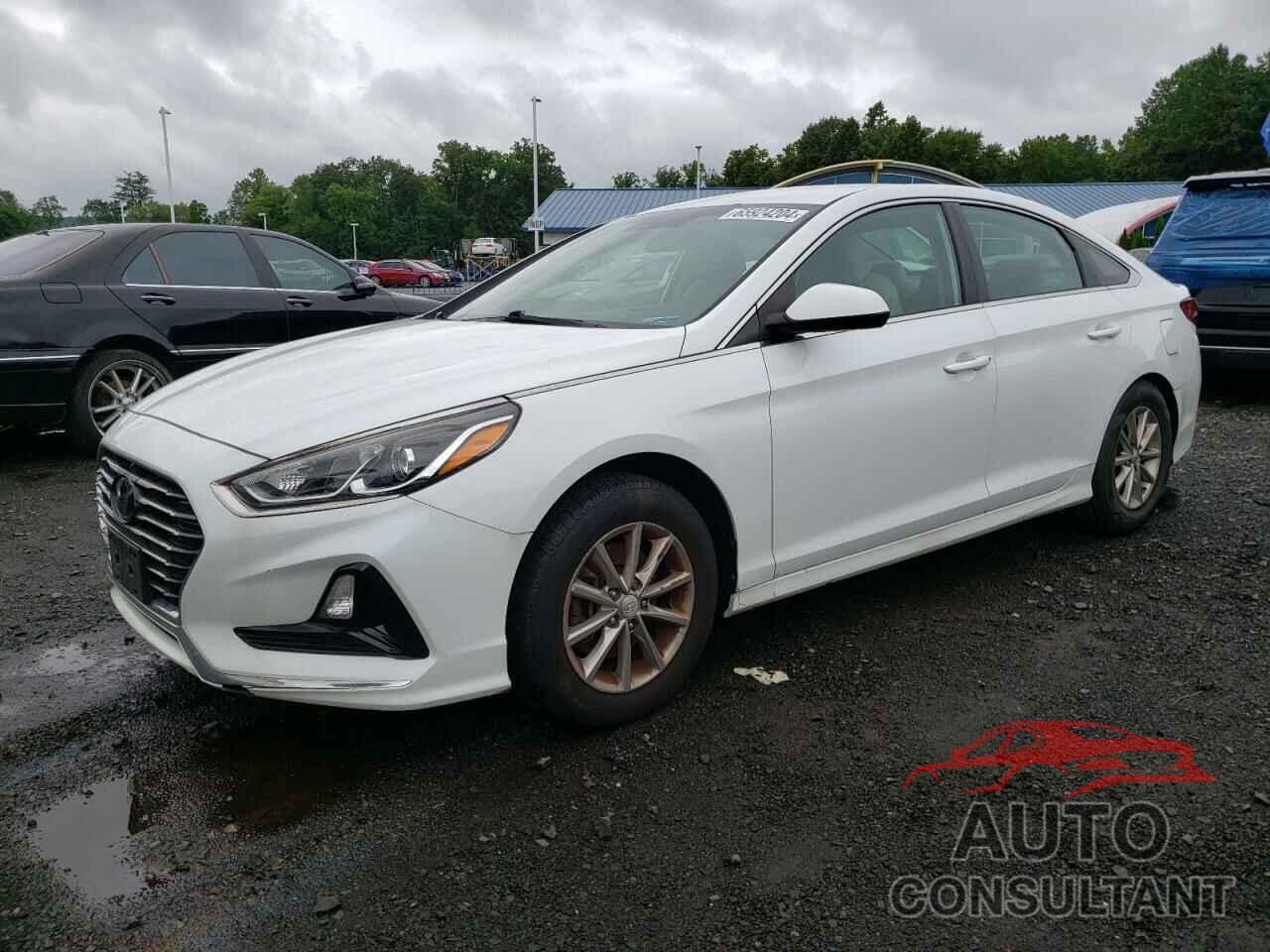 HYUNDAI SONATA 2019 - 5NPE24AF3KH758057