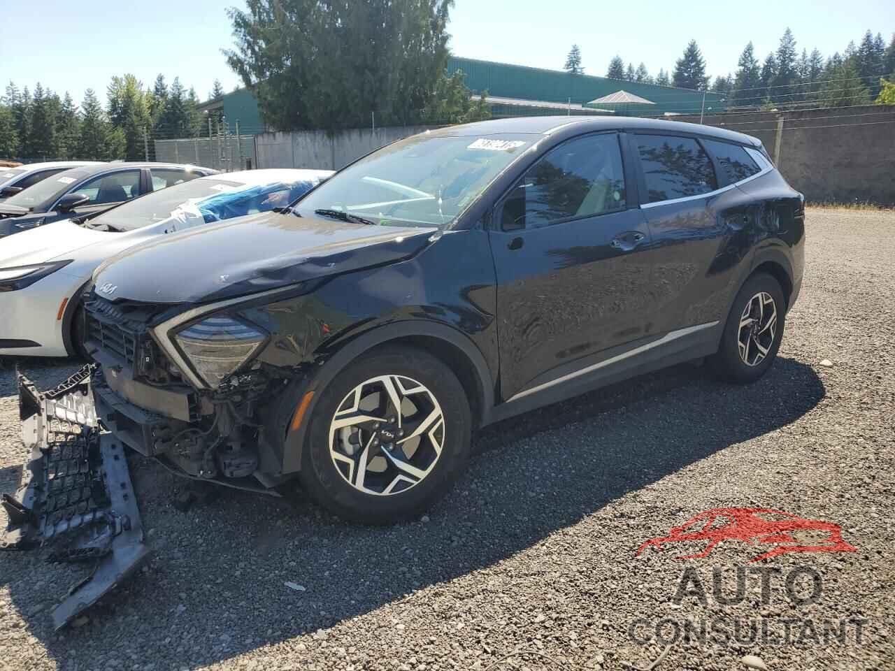 KIA SPORTAGE 2024 - KNDPU3DF1R7308513
