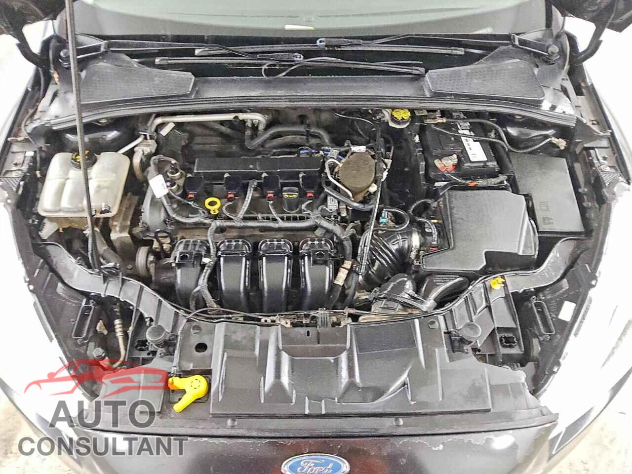 FORD FOCUS 2015 - 1FADP3F20FL206116