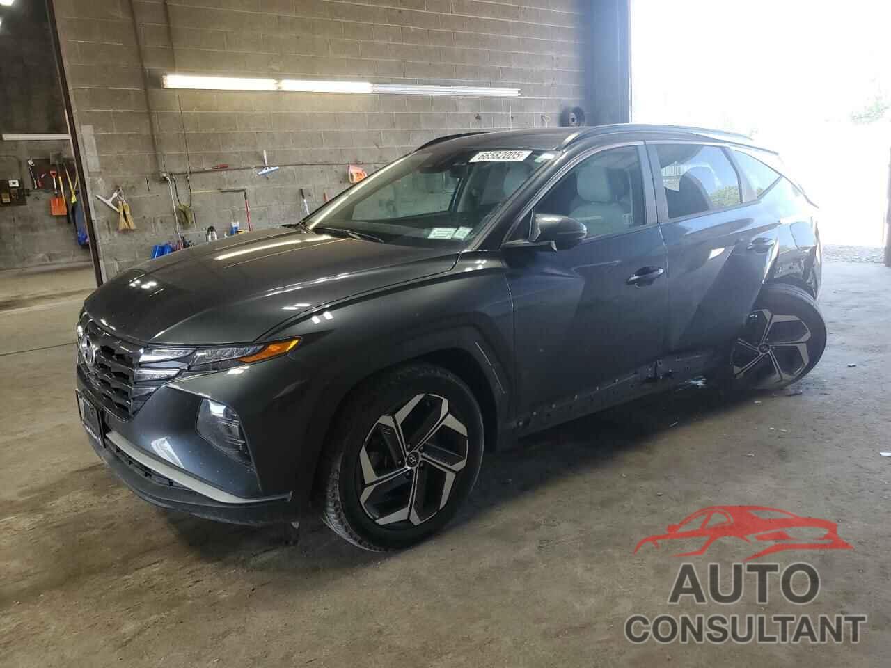 HYUNDAI TUCSON 2024 - 5NMJFCDE3RH329041