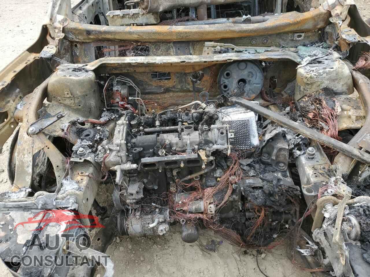 FORD ESCAPE 2020 - 1FMCU9G65LUA19474