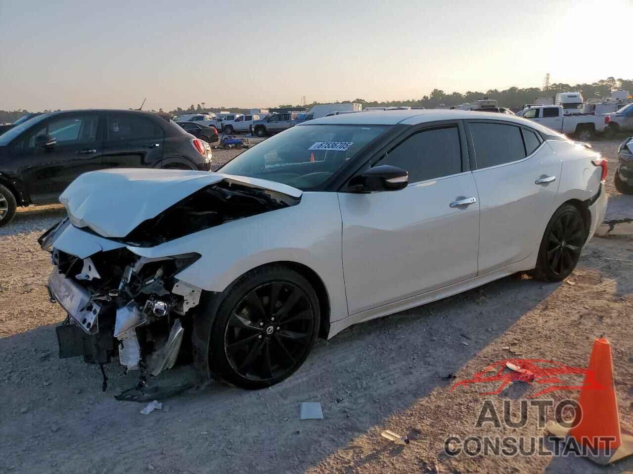 NISSAN MAXIMA 2016 - 1N4AA6AP4GC441614