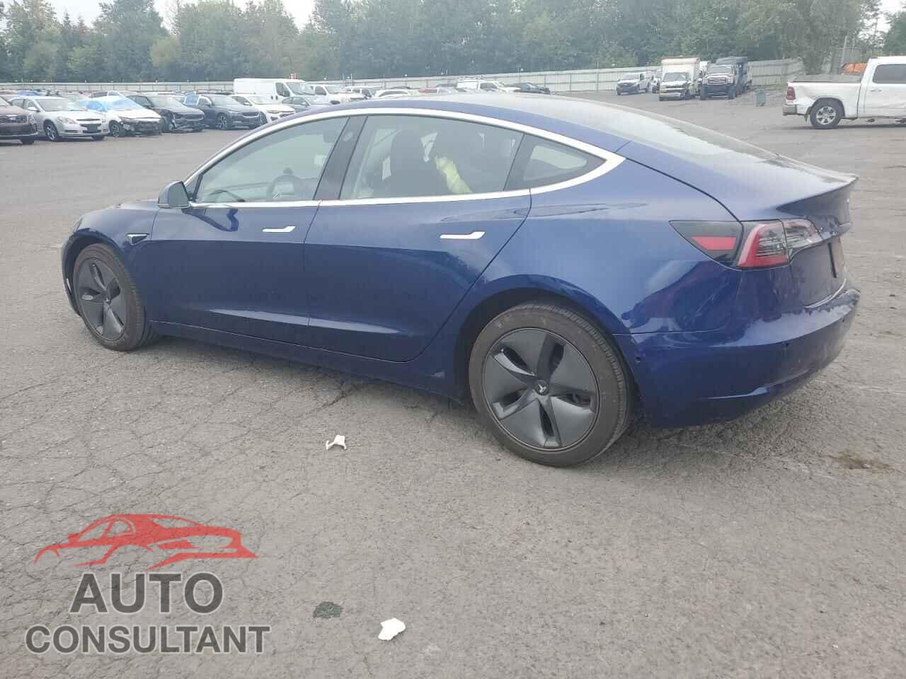 TESLA MODEL 3 2019 - 5YJ3E1EB2KF387444