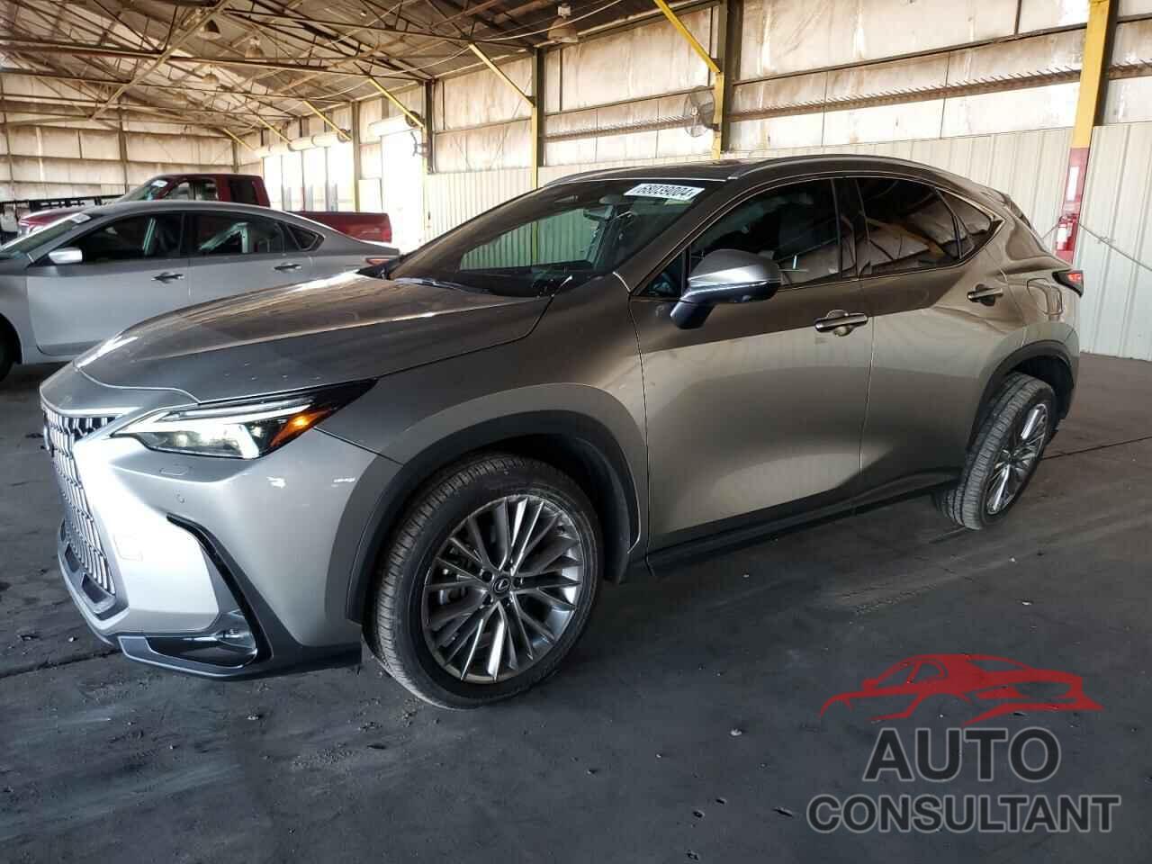 LEXUS NX 350 LUX 2024 - 2T2HGCEZXRC036431