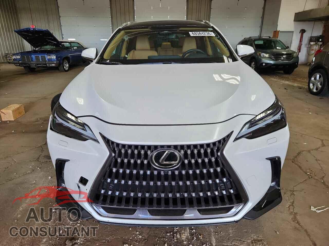 LEXUS NX 2025 - 2T2HGCEZ9SC087666