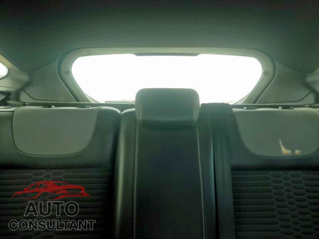 FORD FOCUS 2013 - 1FADP3L96DL172181