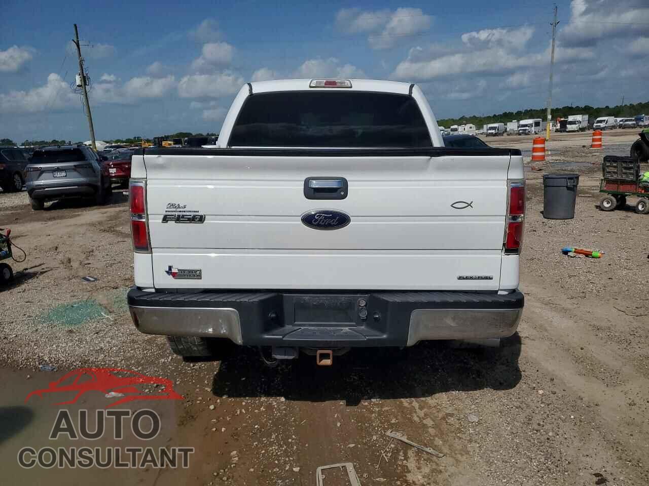 FORD F150 2013 - 1FTEW1CM4DKD89292