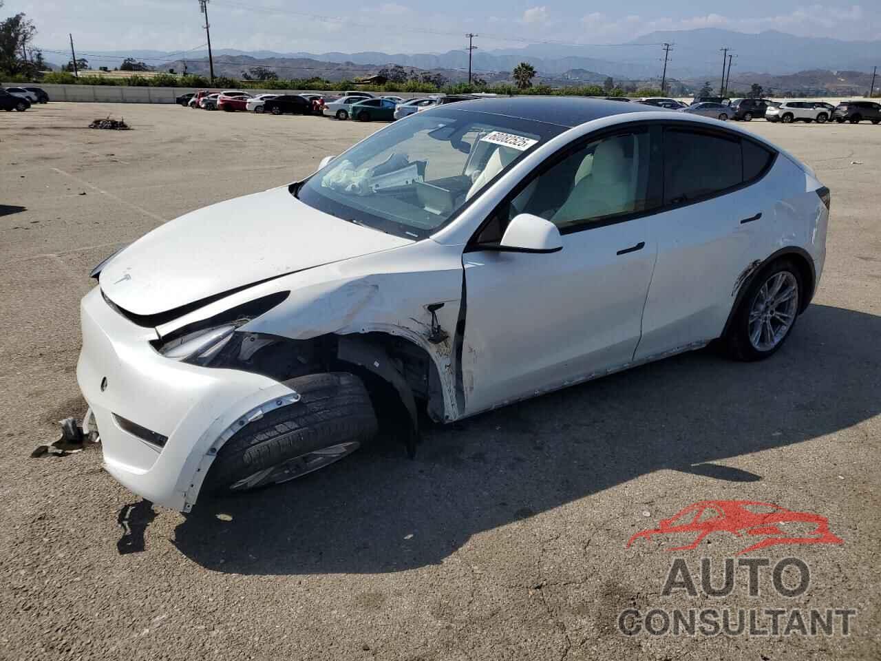 TESLA MODEL Y 2024 - 7SAYGDED4RF008413
