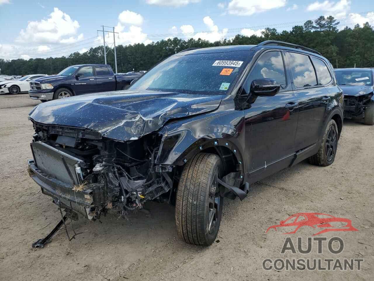 KIA TELLURIDE 2024 - 5XYP5DGC7RG544378
