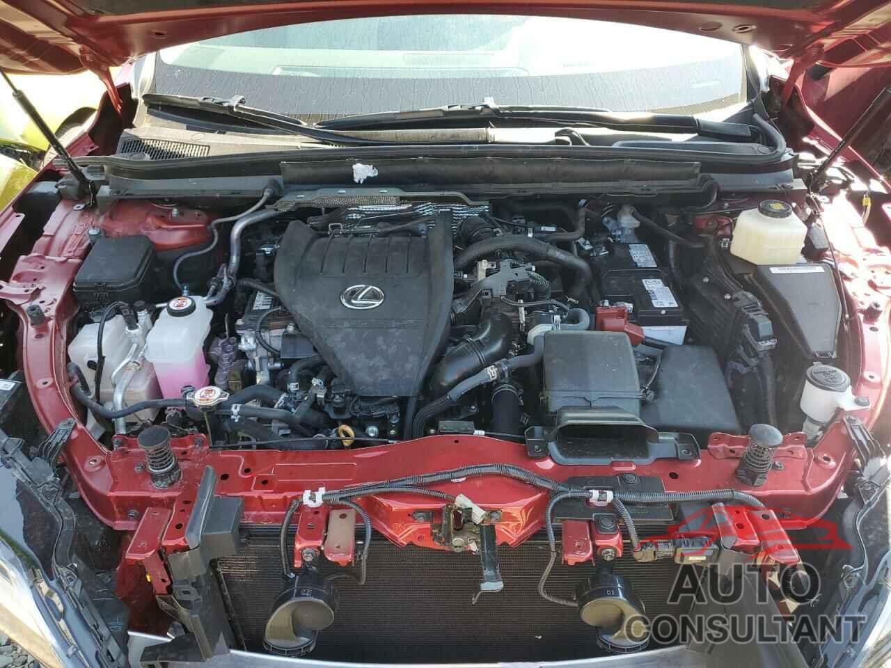 LEXUS RX350 2024 - 2T2BAMBA1RC043795