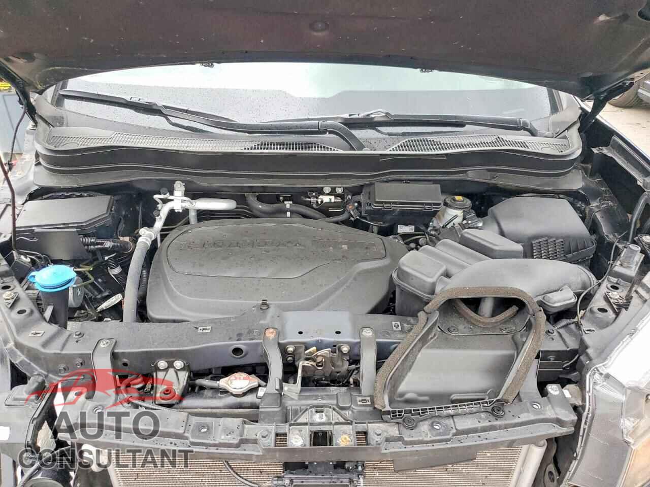 HONDA RIDGELINE 2023 - 5FPYK3F52PB026393